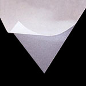 Einleger-Folie